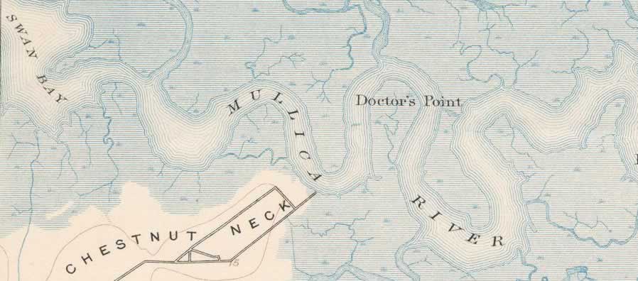 Mullica Watershed
